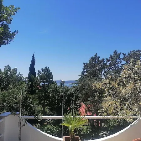 With Terrace In Apartment