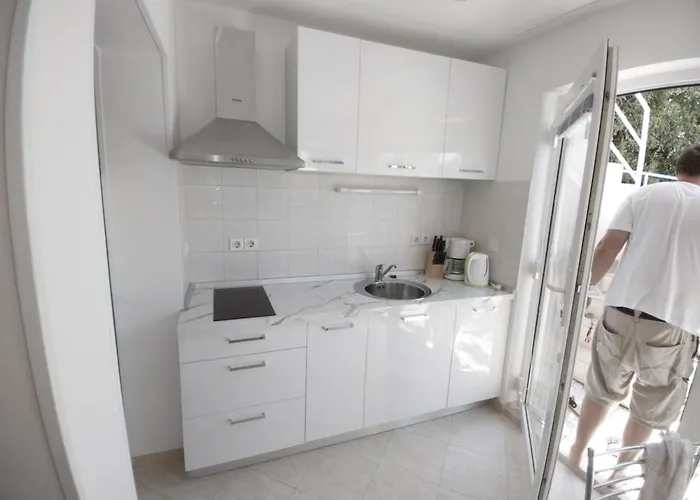 With Terrace In Apartment Crikvenica
