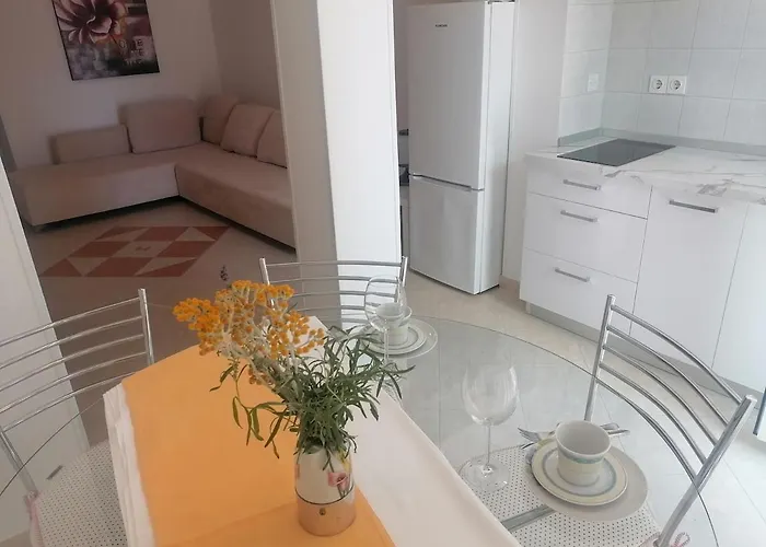With Terrace In Apartment Crikvenica